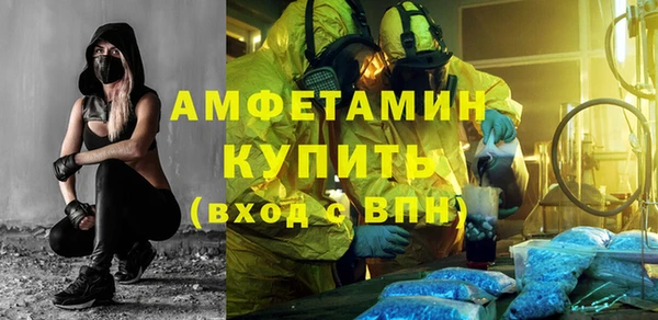 индика Алексин