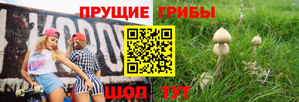 Галлюциногенные грибы мухоморы  Галлюциногенные грибы мухоморы  Вход с VPN  Чайковский 